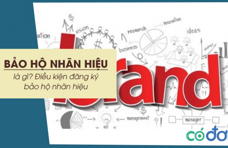 Ý nghĩa của bảo hộ nhãn hiệu tại Bình Định